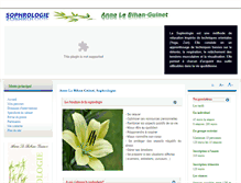Tablet Screenshot of annelebihanguinet.fr